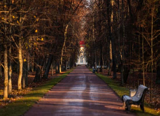 Пешеходная экскурсия по парку Ораниенбаума.