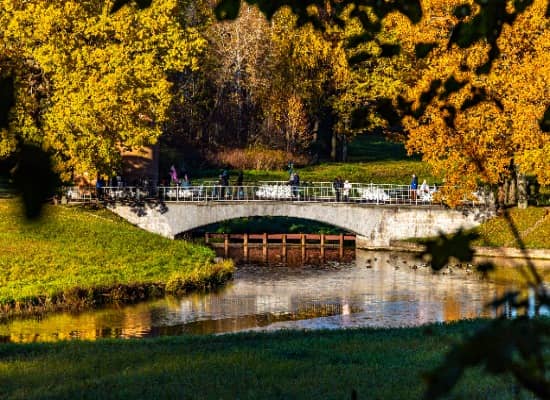 Пешеходная экскурсия по Павловскому парку.