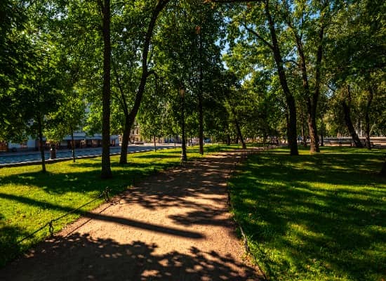 Прогулка по Александровскому саду.