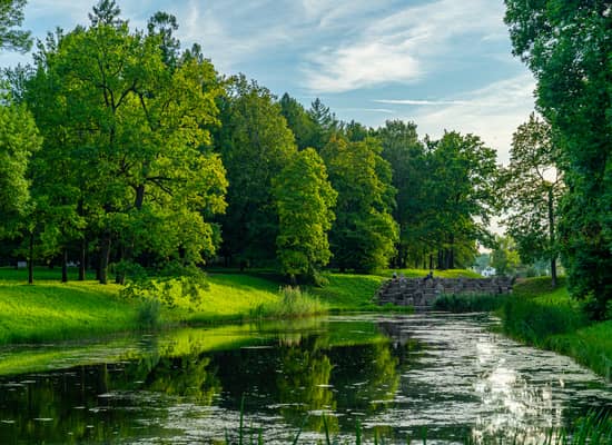 Пешеходная экскурсия по Екатерининскому парку.